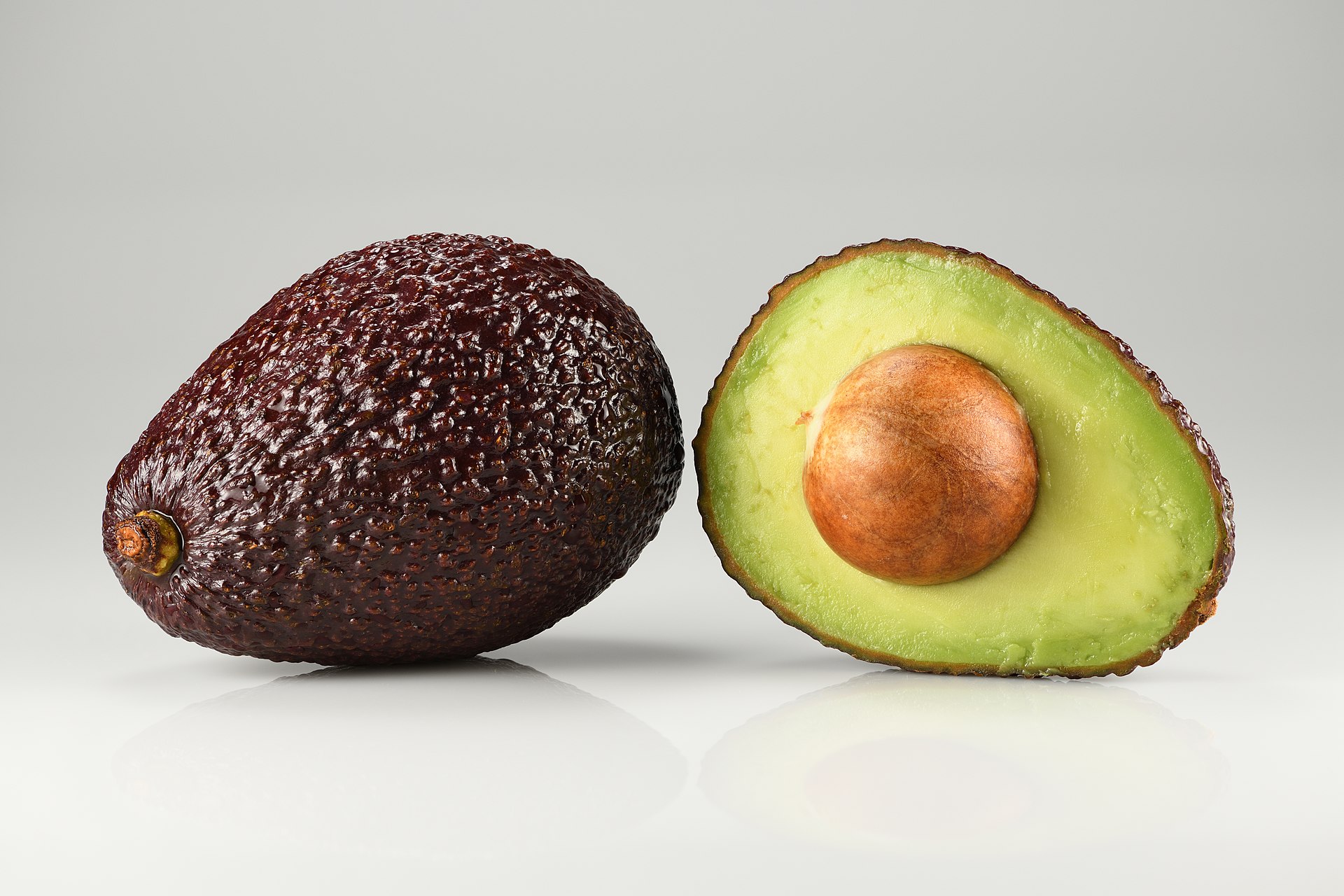 Willy KS Company - Avocado
