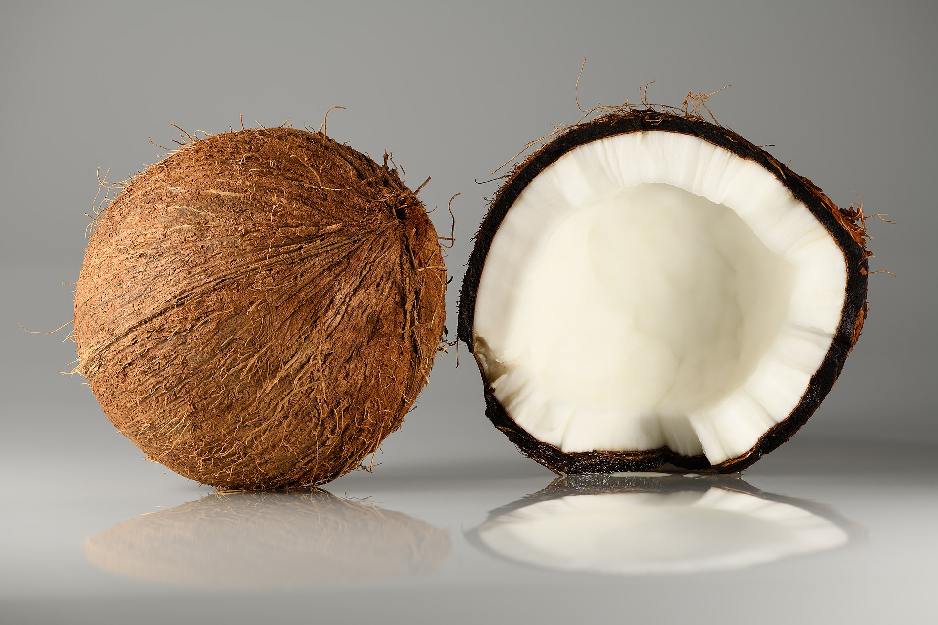 Willy KS Company - Coconut